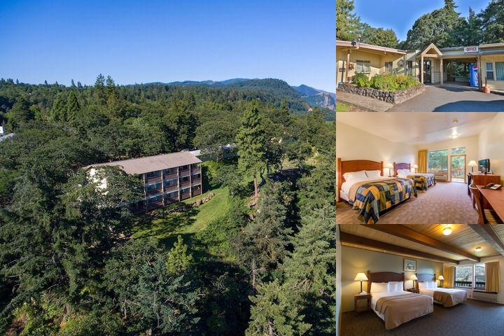 Westcliff Lodge photo collage