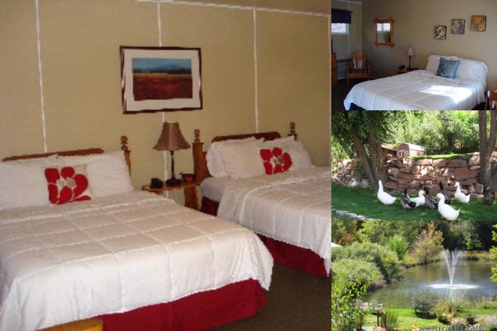 Stone Mountain Lodge & Cabins photo collage