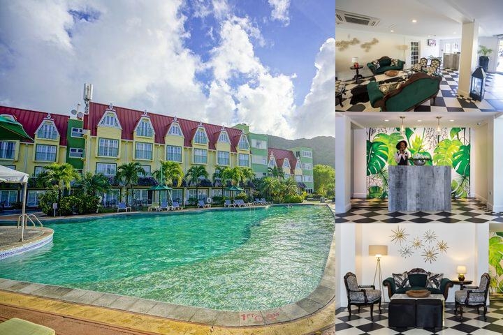 Coco Palm photo collage