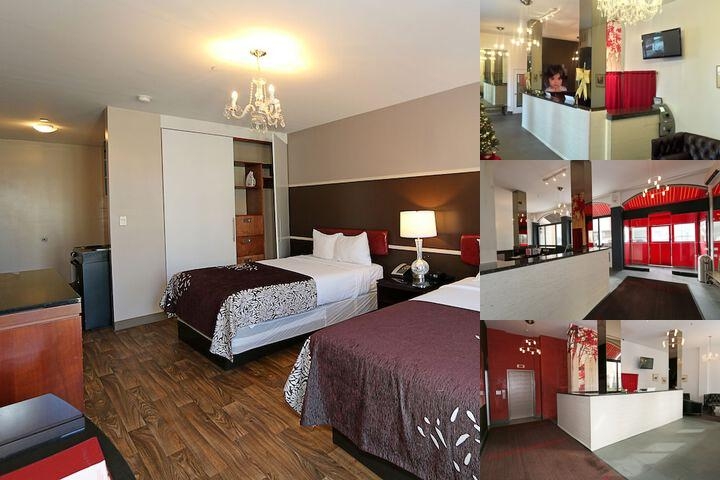Hotel Vetiver photo collage