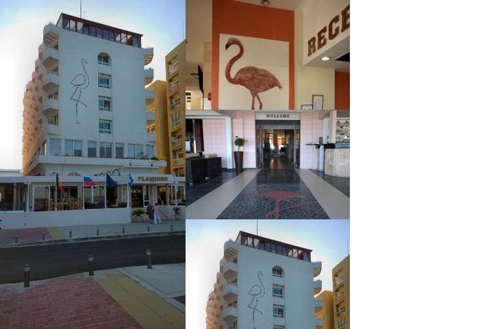 Flamingo Beach Hotel photo collage