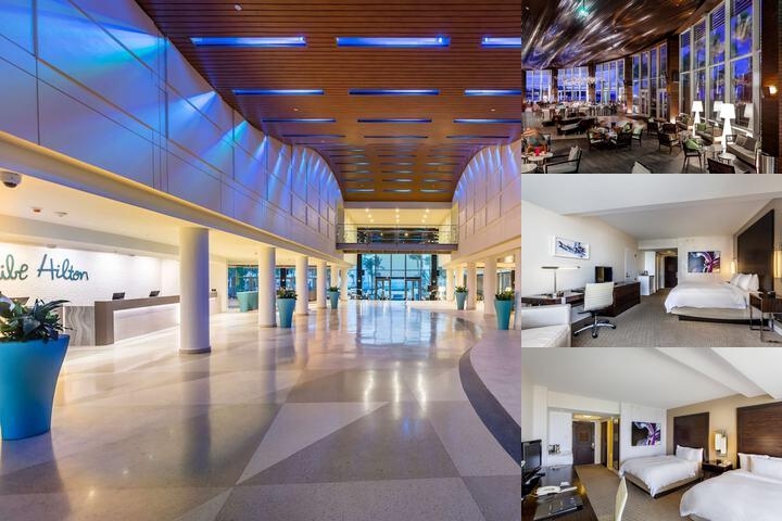Caribe Hilton photo collage