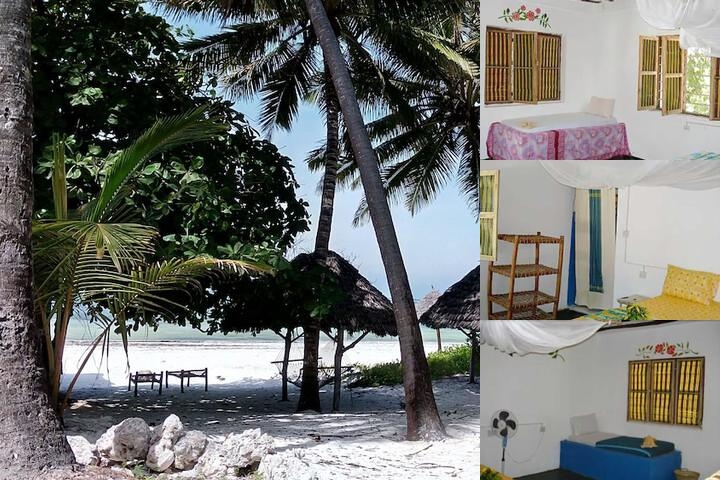 Twisted Palms Lodge & Restaurant photo collage