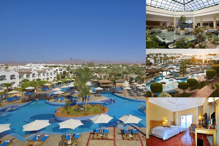 Jaz Sharm Dreams photo collage