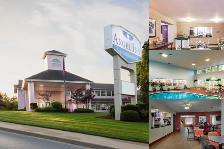 Angel Inn Central photo collage