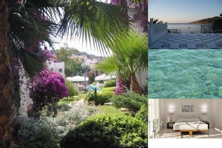 Princess Artemisia Hotel photo collage