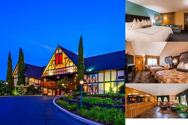 Best Western Windsor Inn photo collage