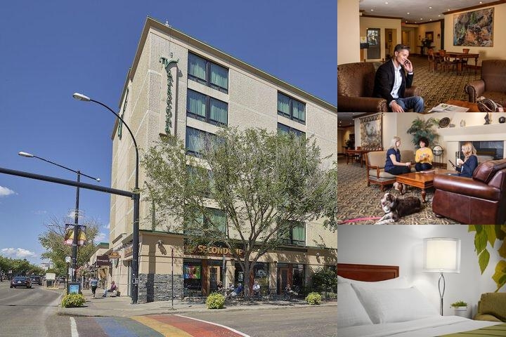 Varscona Hotel on Whyte photo collage