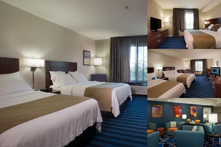 Spark by Hilton Lancaster photo collage