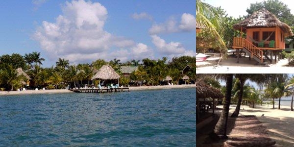 Green Parrot Belize photo collage