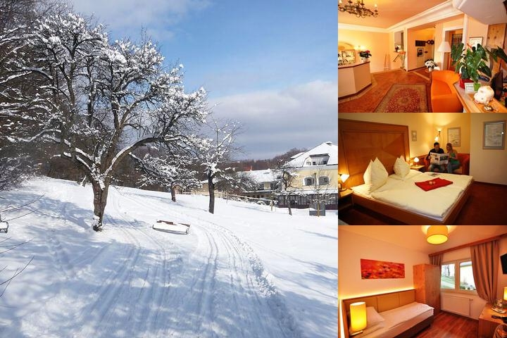Hotel Wienerwaldhof photo collage