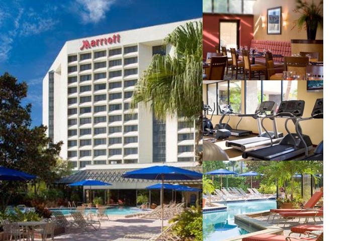 Marriott Tampa Westshore photo collage