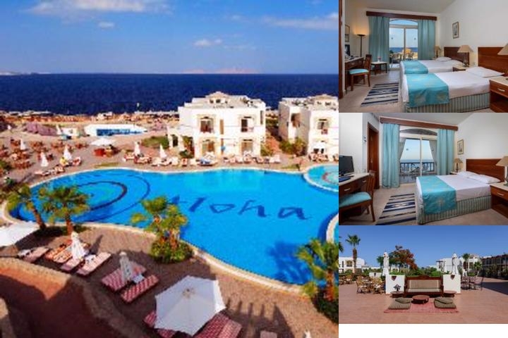 Amphoras Beach - Ultra All Inclusive photo collage