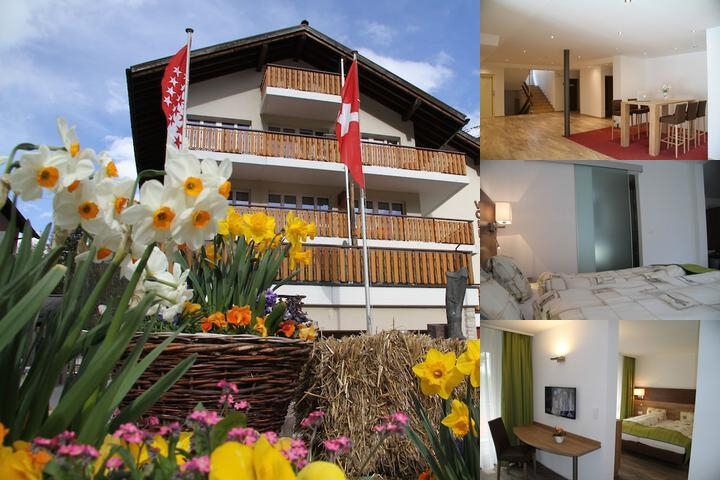 Therme 51 photo collage