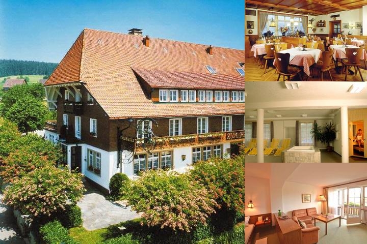 Der Hirschen photo collage