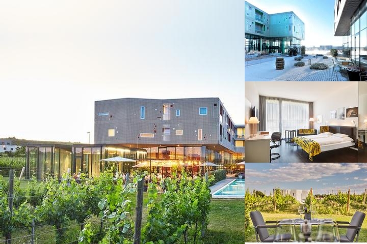 Loisium Wine & Spa Hotel Langenlois photo collage
