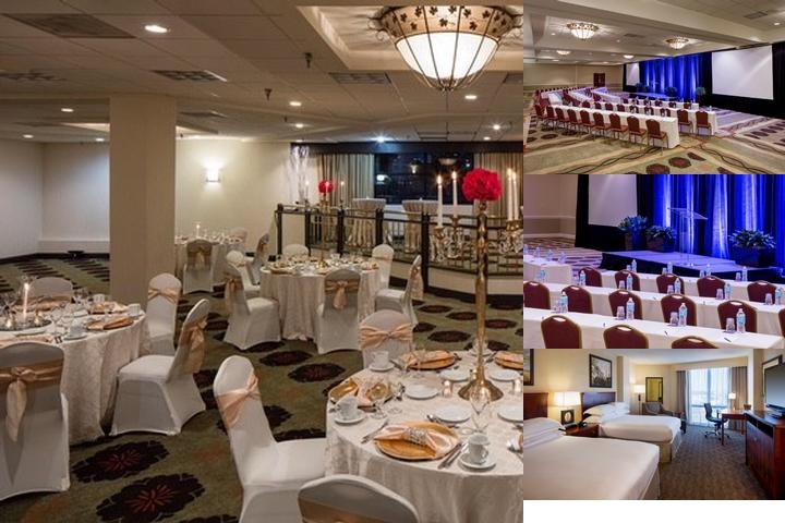 Hilton Houston Galleria Area photo collage