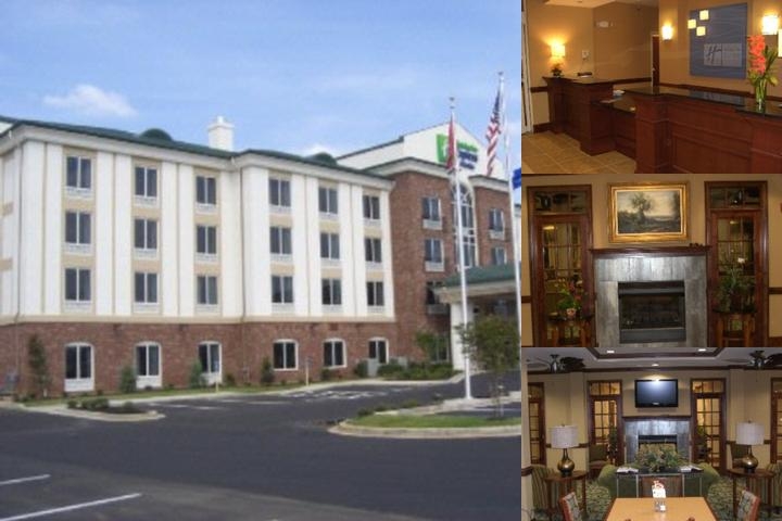 Holiday Inn Express & Suites Millington by IHG photo collage