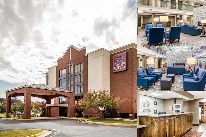Comfort Suites Fredericksburg South photo collage