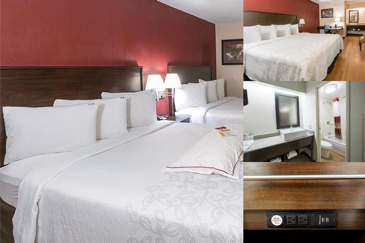 Red Roof Inn Plus+ West Springfield photo collage