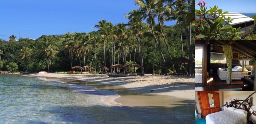 Virgin Islands Campground photo collage