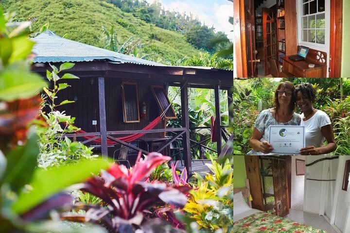Hibiscus Valley Inn photo collage