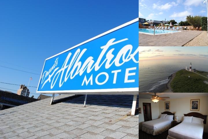 Daunts Albatross Motel photo collage