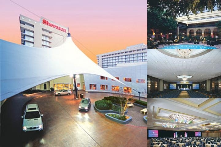Courtland Grand Hotel, Trademark Collection by Wyndham photo collage