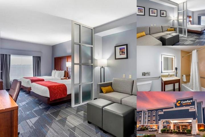 Comfort Suites Olive Branch - Memphis South photo collage