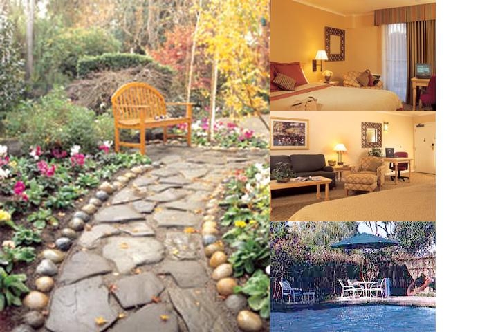 Creekside Inn photo collage