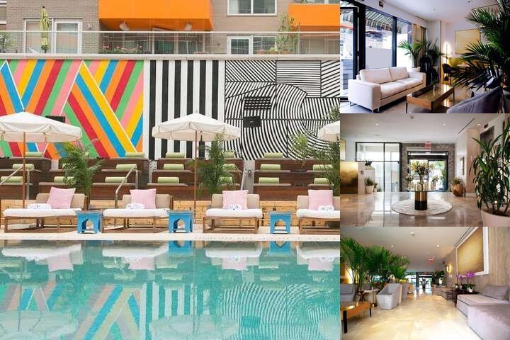Coda Williamsburg photo collage