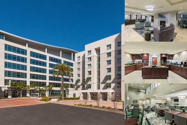 Homewood Suites by Hilton Tampa Airport - Westshore photo collage