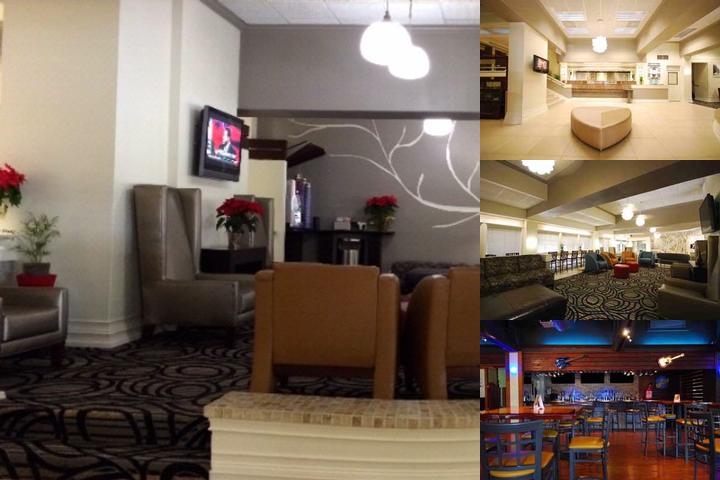 Aiden Austin City Hotel photo collage