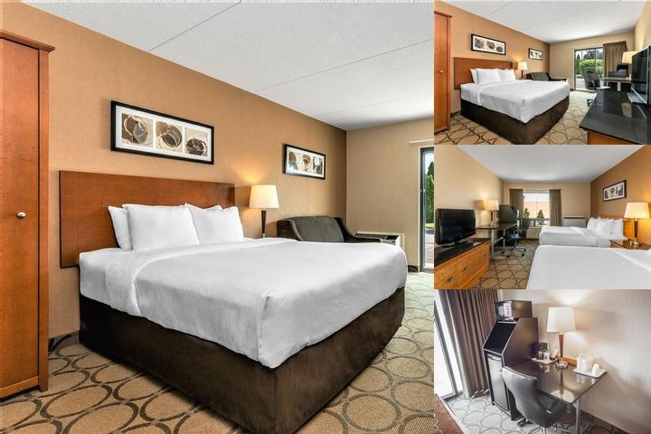 Comfort Inn Dryden photo collage