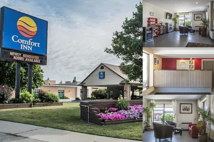 Comfort Inn photo collage