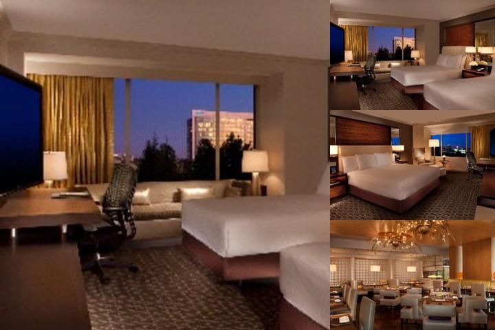 Hilton Mclean Tysons Corner photo collage
