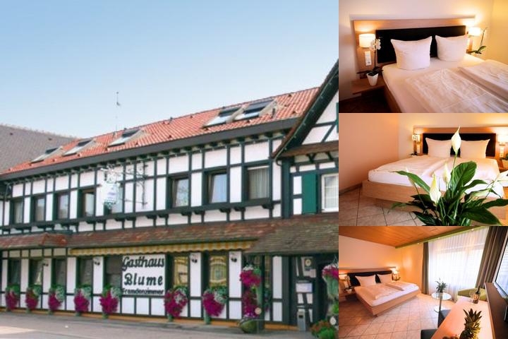 Landgasthof Zur Blume photo collage