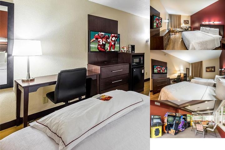 Red Roof Inn Plus+ South Deerfield – Amherst photo collage