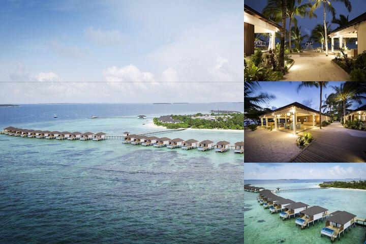 ROBINSON NOONU - All inclusive photo collage