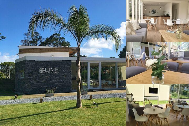 Live Hotel Boutique - Adults Only photo collage