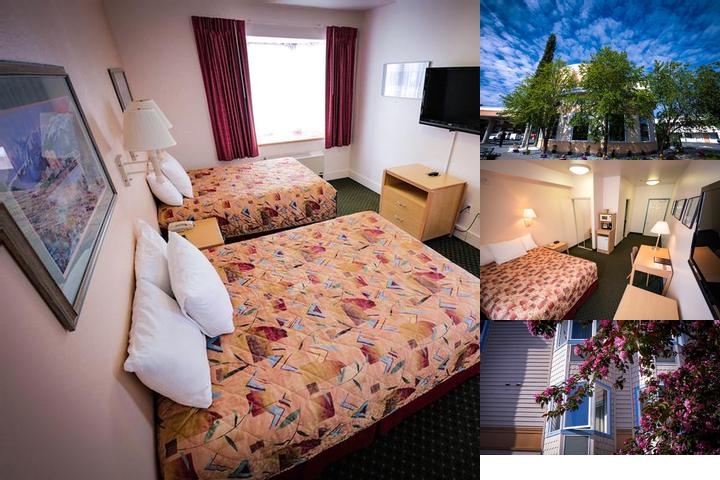 Puffin Inn of Anchorage photo collage