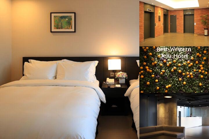 Best Western Jeju Hotel photo collage