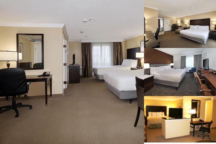 Holiday Inn Hotel & Suites San Mateo-San Francisco SFO by IHG photo collage