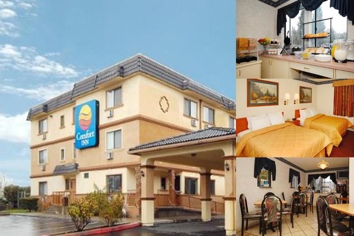 Waterloo Inn photo collage