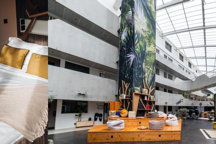 Cowool Cergy photo collage