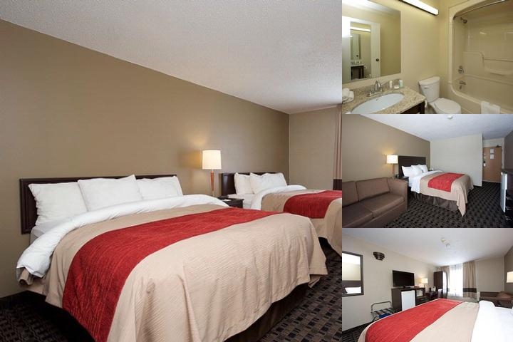 Comfort Inn Midland photo collage