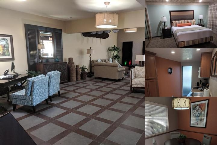 Desert Isle of Palm Springs photo collage