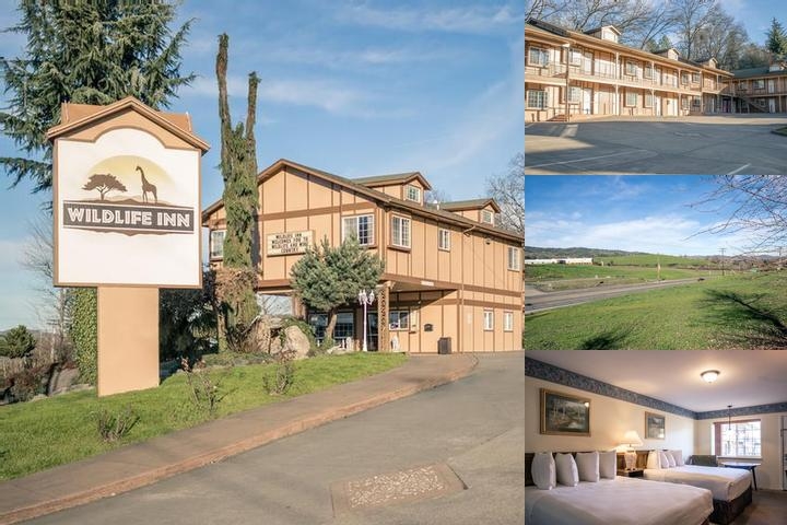 Wildlife Inn photo collage