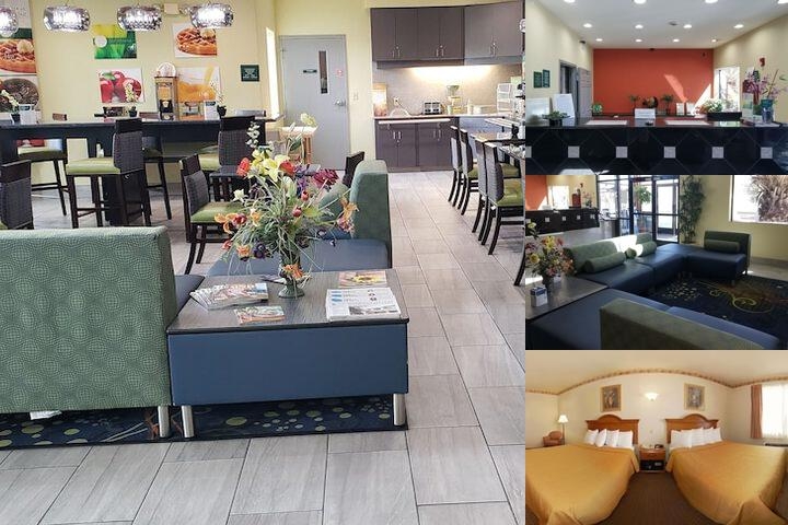 Vivo Living New Braunfels North photo collage