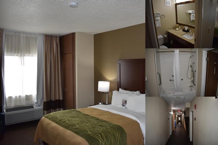 Comfort Inn Near Kokomo Speedway photo collage